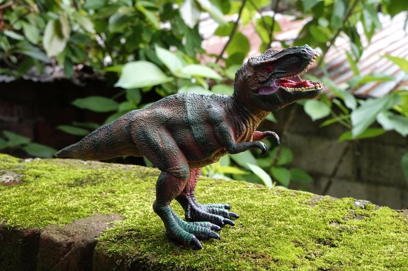 Dinosaur Fossil