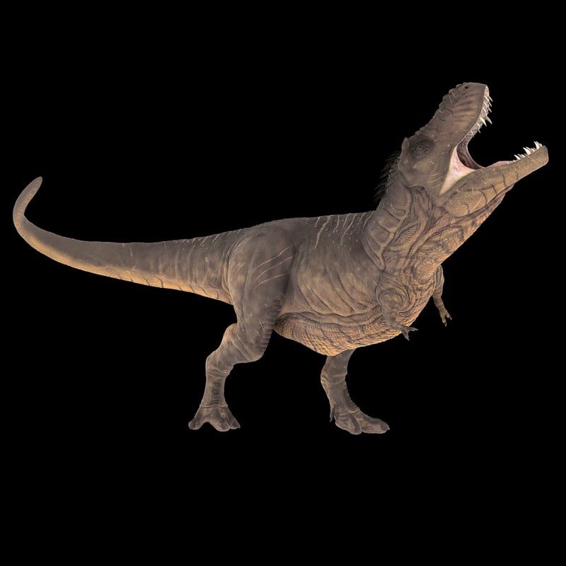 Royal Tyrrell Museum, Canada