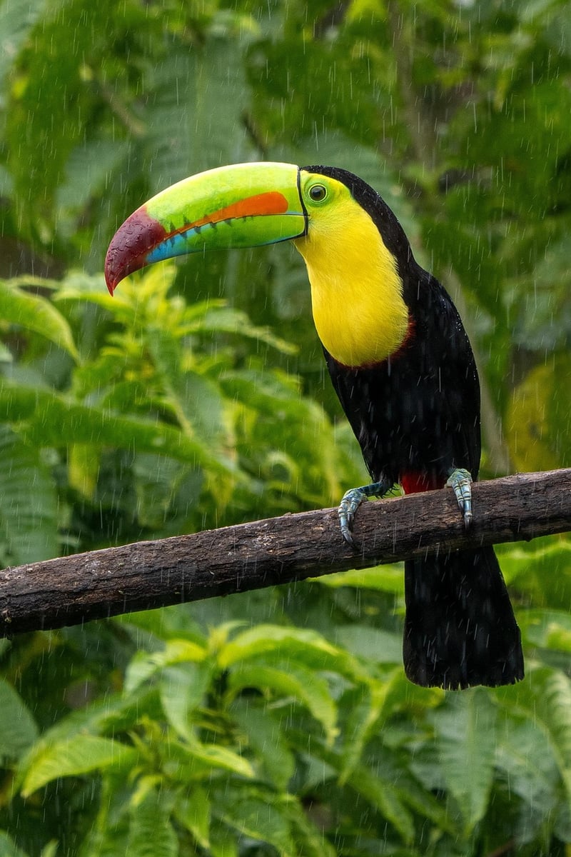 Isla Nublar, Costa Rica